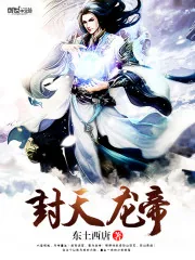 《封天龙帝》封面