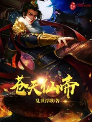 《苍天仙帝》封面