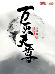《万灭天尊》封面