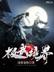 《极武境界》封面