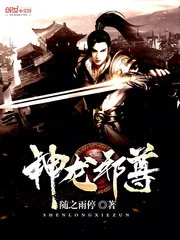 《神龙邪尊》封面