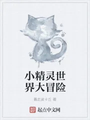 《小精灵世界大冒险》封面