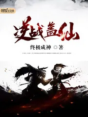 《逆战盖仙》封面