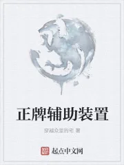《正牌辅助装置》封面