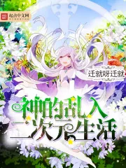 《神的乱入二次元生活》封面