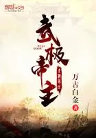 《武极帝主》封面