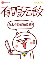 《有眼无敌》封面