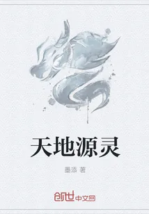 《天地源灵》封面
