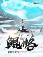 《最后一只鲲鹏》封面