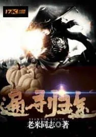 《遍寻归途》封面