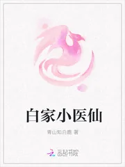 《白家小医仙》封面