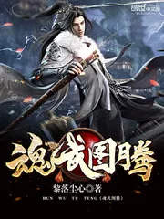 《魂武图腾》封面