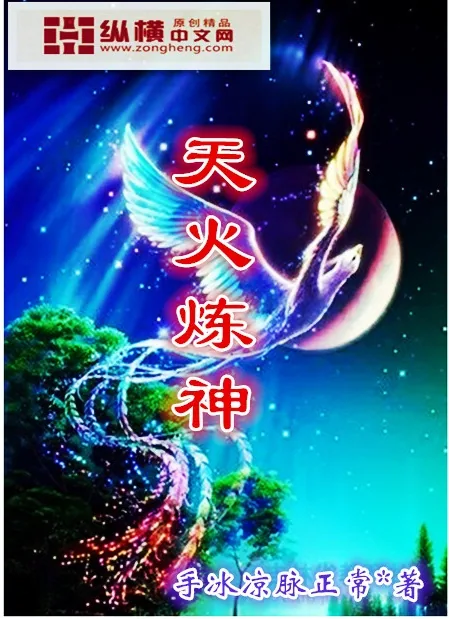 《天火炼神》封面