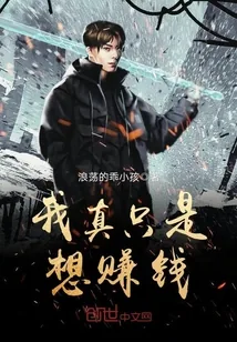 《我真只是想赚钱》封面