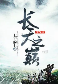 《长天之巅》封面
