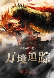 《万境追踪》封面
