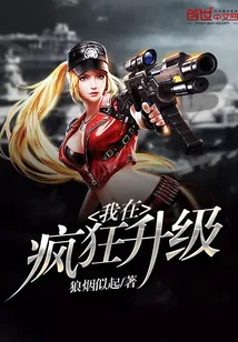 《我在疯狂升级》封面
