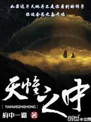 《天帷之中》封面