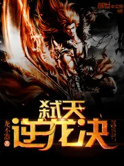 《弑天逆龙决》封面