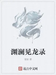 《渊澜见龙录》封面