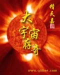 《大宇宙存奇》封面