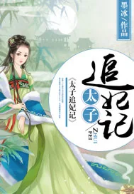 《太子追妃记》封面