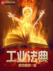 《工业法典》封面
