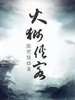 《火狮侠客》封面