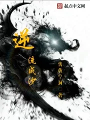 《逆流成沙》封面