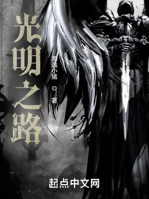 《光明之路》小说封面