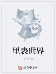 《里表世界》封面