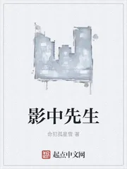 《影中先生》封面