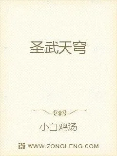 《圣武天穹》封面