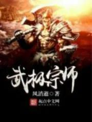 《武极宗师》封面