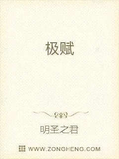 《极赋》封面