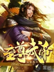 《至尊武帝》封面