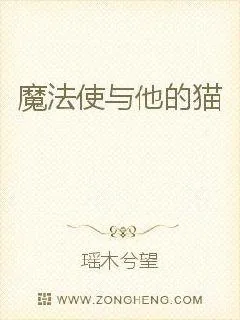 《魔法使与他的猫》封面