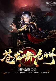《苍龙啸九州》封面