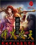 《神火凌天》封面