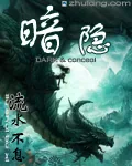 《暗隐》封面