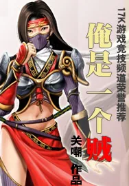 《俺是一个贼》封面
