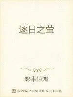 《逐日之萤》封面