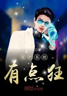 《我的系统有点狂》封面