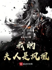 《我的夫人是凤凰》封面