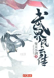 《武界风云传》封面