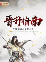 《晋升指南》封面