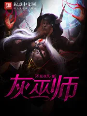 《灰巫师》小说封面
