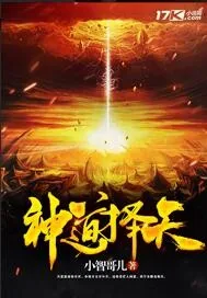 《神道择天》封面