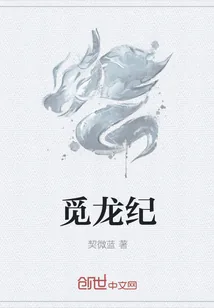 《觅龙纪》封面