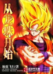 《从龙珠开始》封面